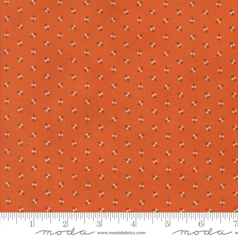 Half Yard - Moda Fabrics Pumpkin Spice Trumpet Vine