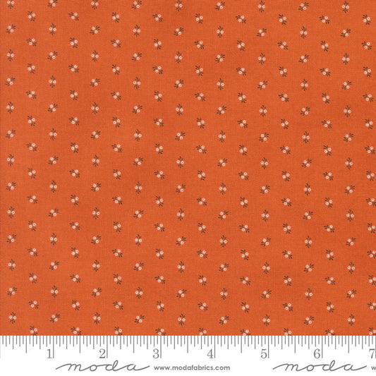 Half Yard - Moda Fabrics Pumpkin Spice Trumpet Vine