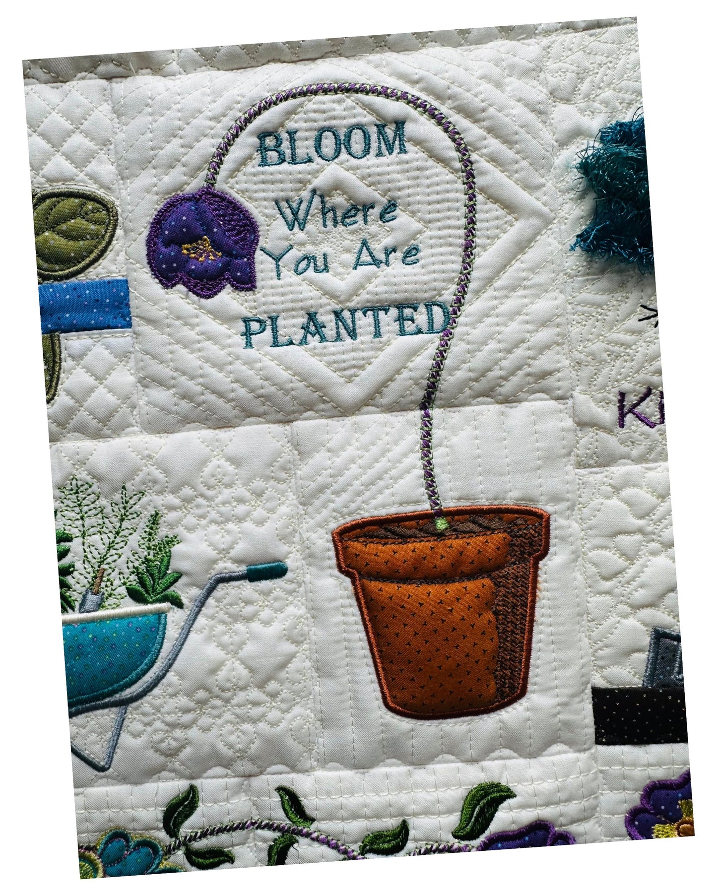 Seed Thyme - Digital Download